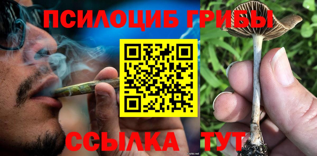 Галлюциногенные грибы мицелий  Вход с VPN  Галлюциногенные грибы GOLDEN TEACHER  Уссурийск 